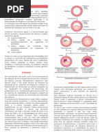 Entendendo o MINOCA: Definição e Tratamento | PDF | Infarto do ...