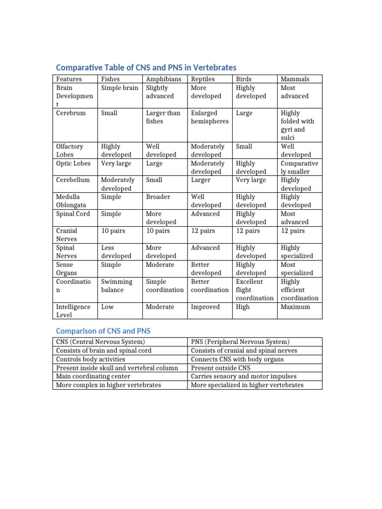 CNS PNS Comparison Table | PDF | Central Nervous System | Neuroanatomy
