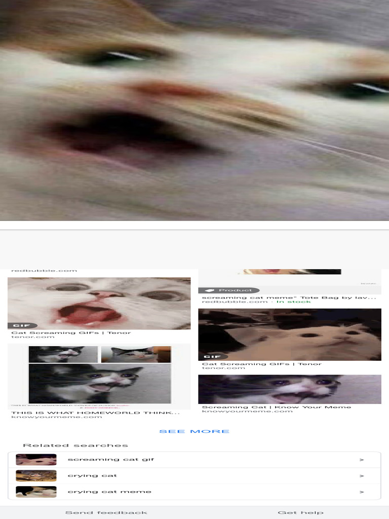 Screaming Cat - Google Search | PDF