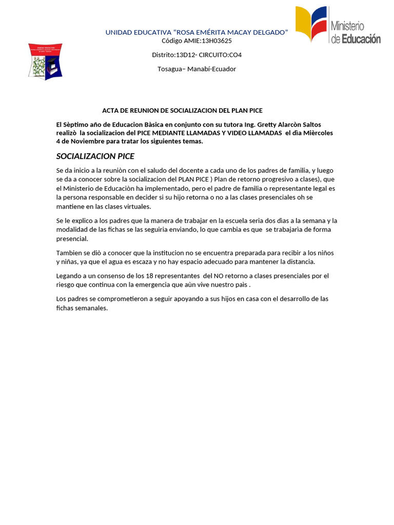 Acta de PICE | PDF