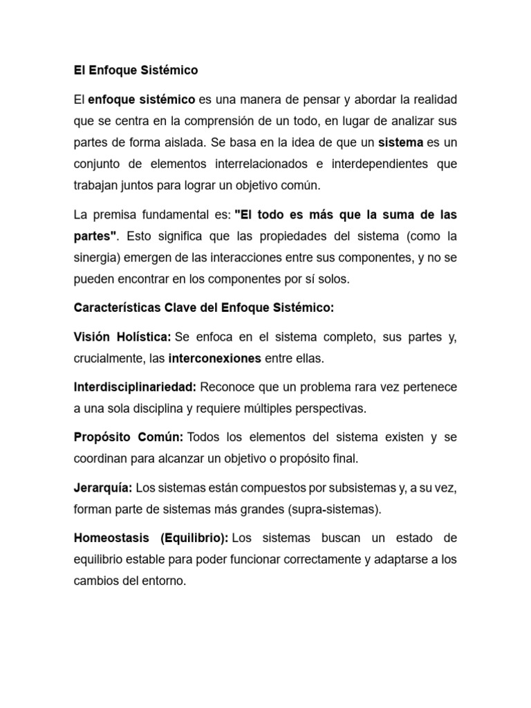 El Enfoque Sistémico | PDF | Sistema | Business