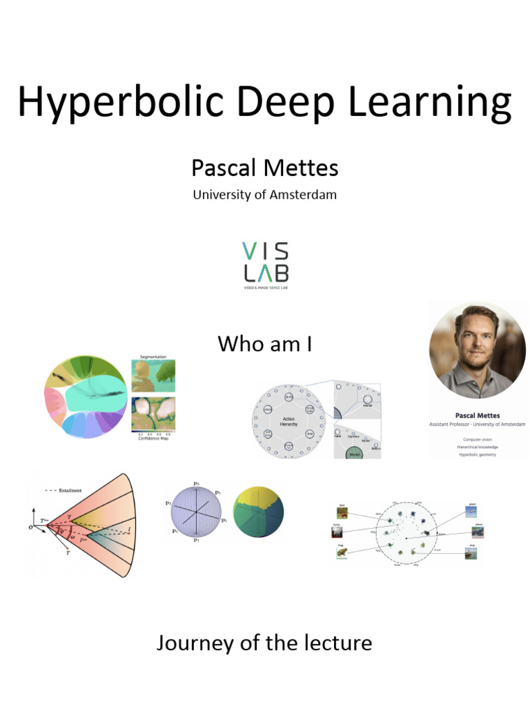 Pascal_Mettes Hyperbolic Deep learning | PDF | Hyperbolic Geometry ...