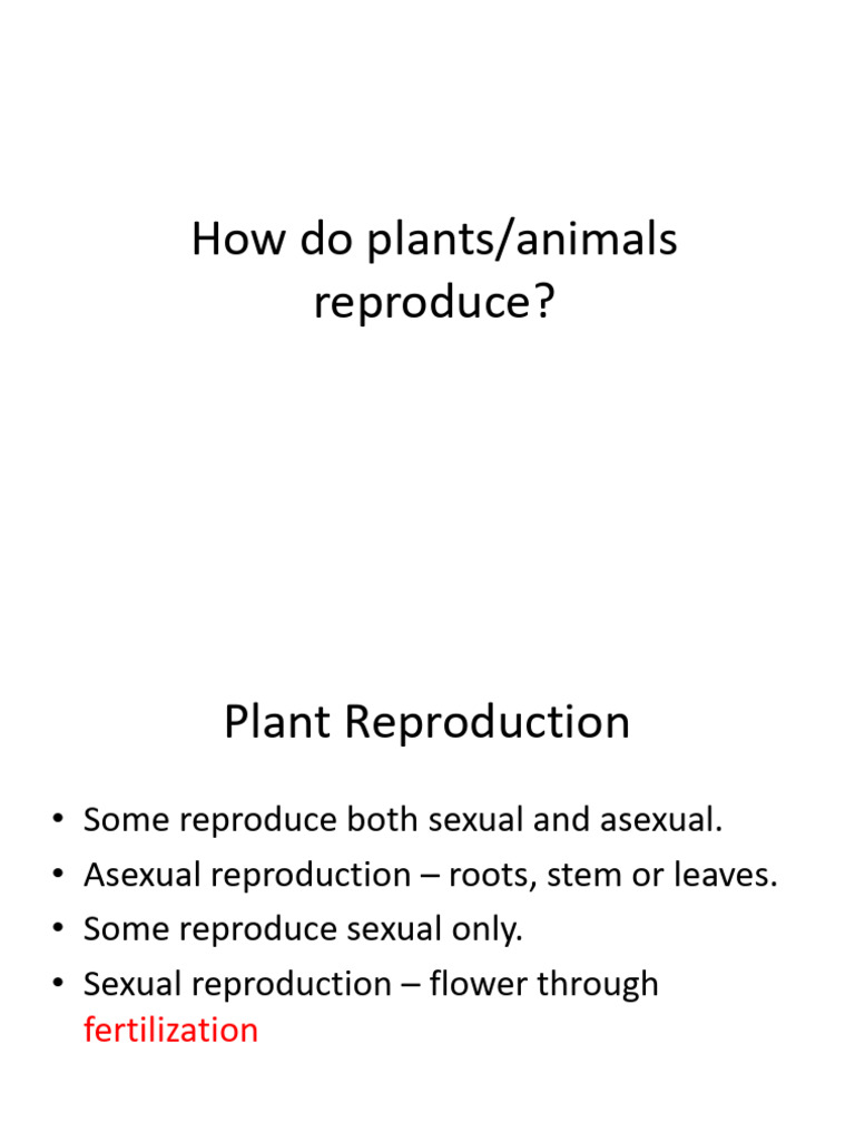 Animal and Plant Reproduction | PDF | Flowers | Sexual Reproduction