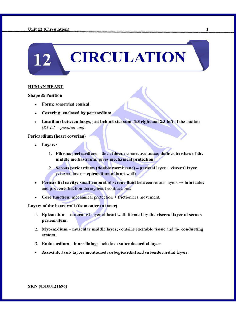 Skn Circulation Notes 2025 | PDF