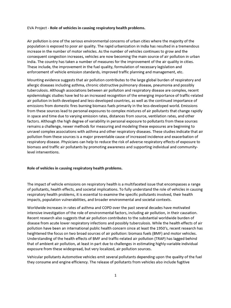 Eva Project | PDF | Air Pollution | Exhaust Gas