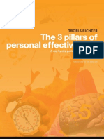 The 3 Pillars of Personal Effectiveness by Troels Richter