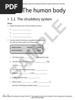 Grade 5 Science Term 1 Assessment | PDF | Circulatory System | Blood