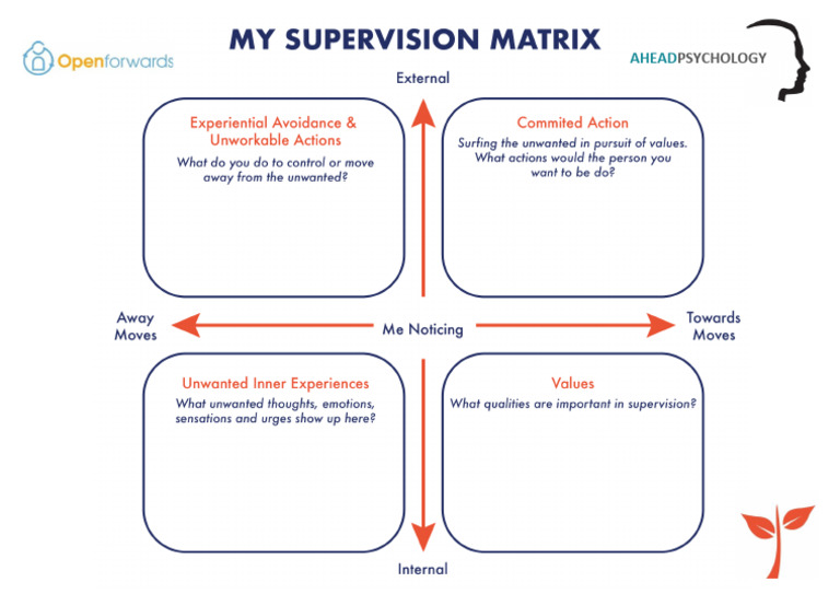 My Supervision Matrix Worksheet | PDF