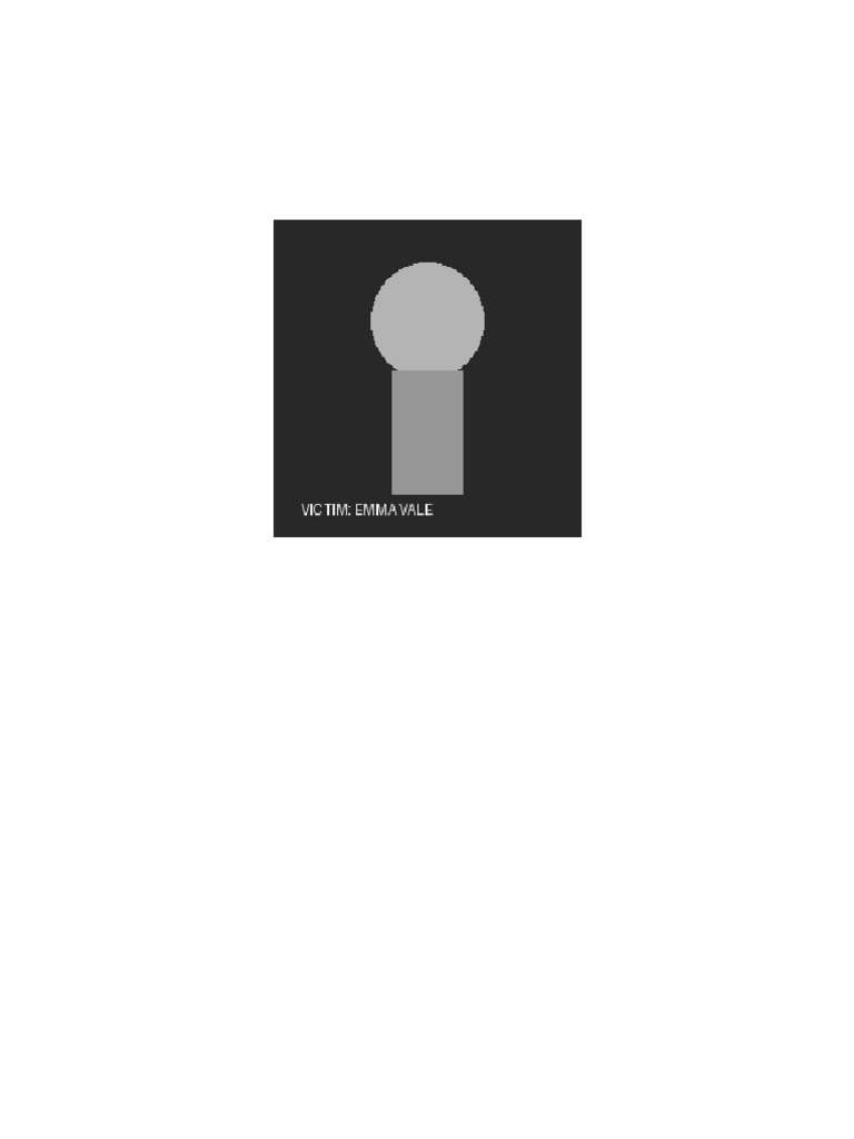Cold Case Files | PDF