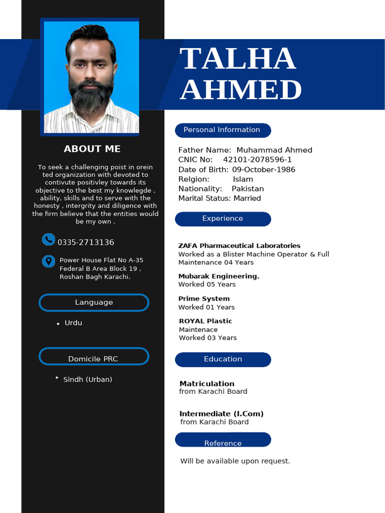 CV Talha Ahmed | PDF