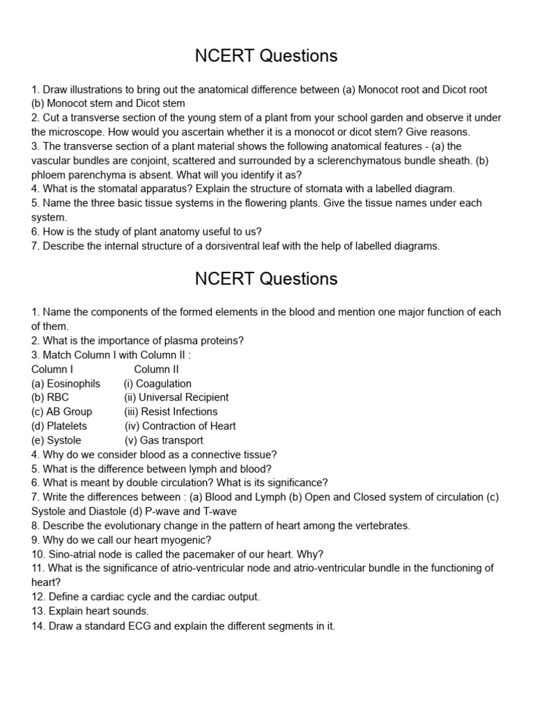 NCERT Questions | PDF