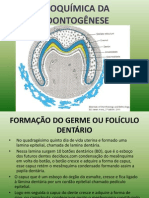 Bioquímica Da Odontogênese Trabalho Sério