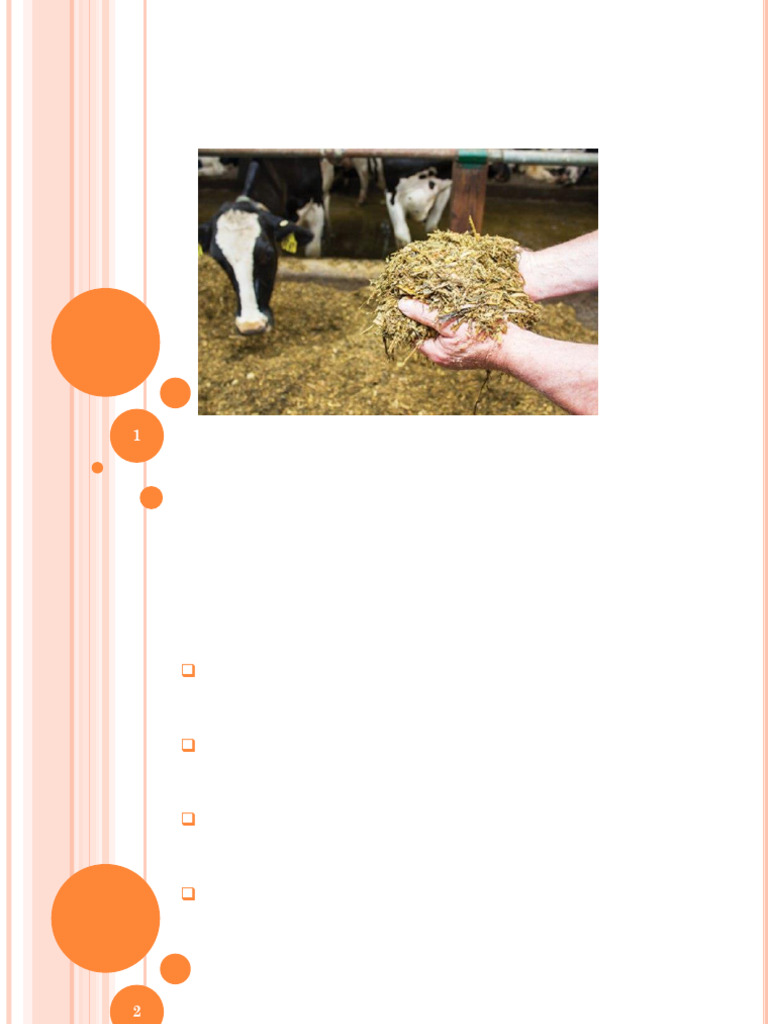 Agron 529_Silage & ensiling (1) | PDF | Fermentation