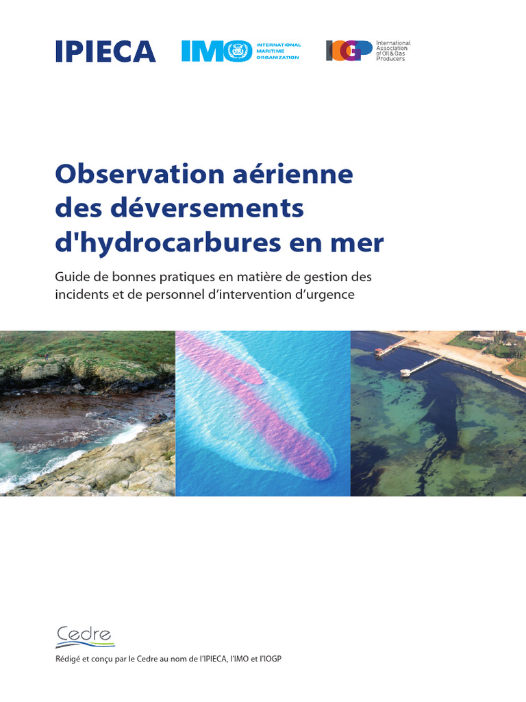 Aerial Observation Ipieca GPG | PDF | la pollution | Surveillance
