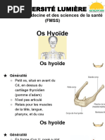 Anatomie de l'os hyoïde | PDF | Cou | Système squelettique
