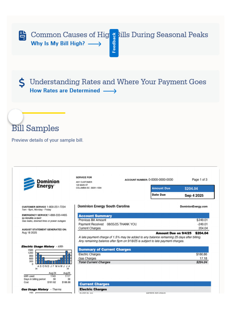Understand My Bill South Carolina Dominion en… | PDF