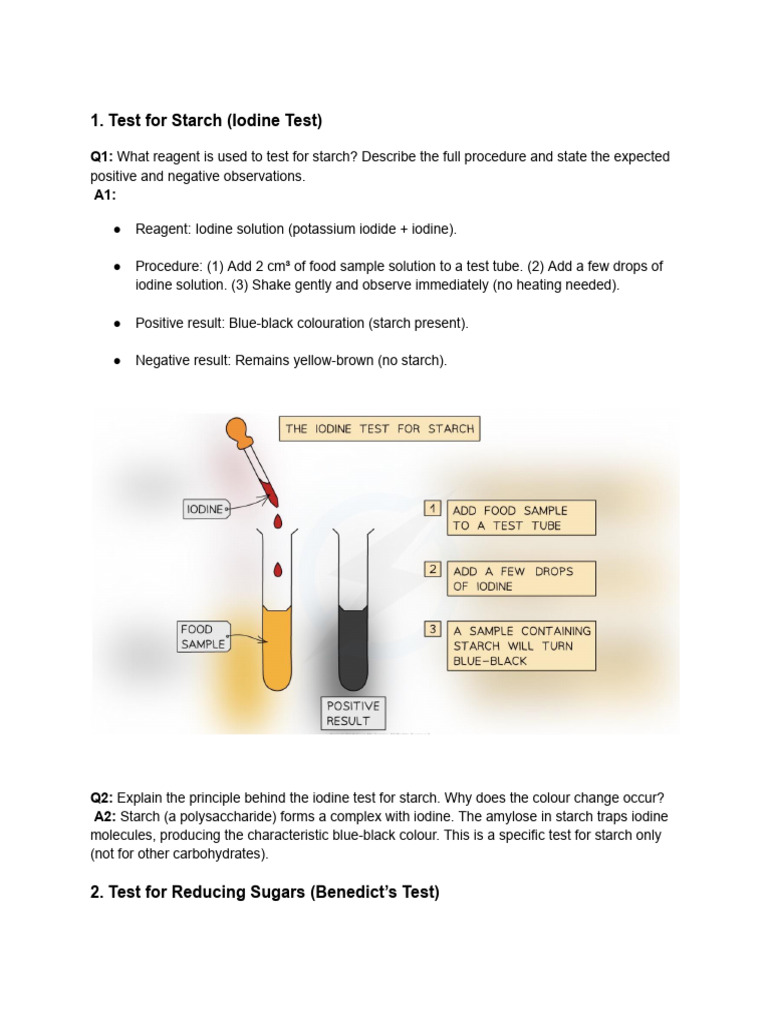 SBA Food Test | PDF | Chemistry | Chemical Substances