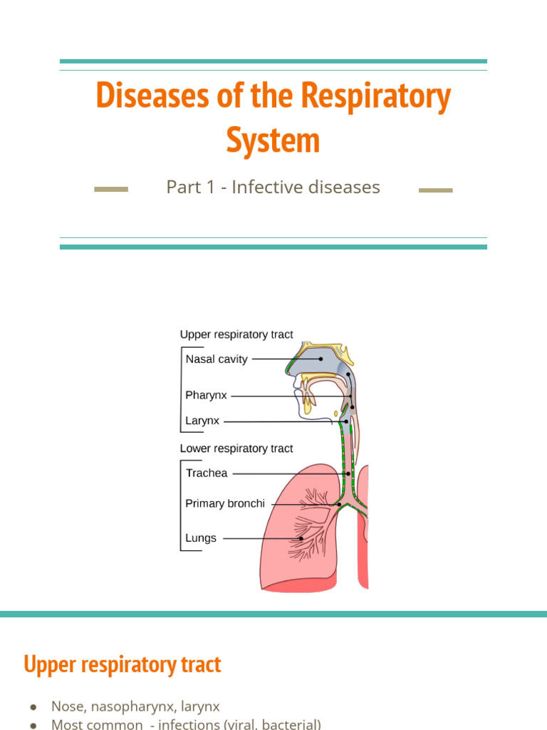 10.Diseases of the Respiratory System 1 | PDF