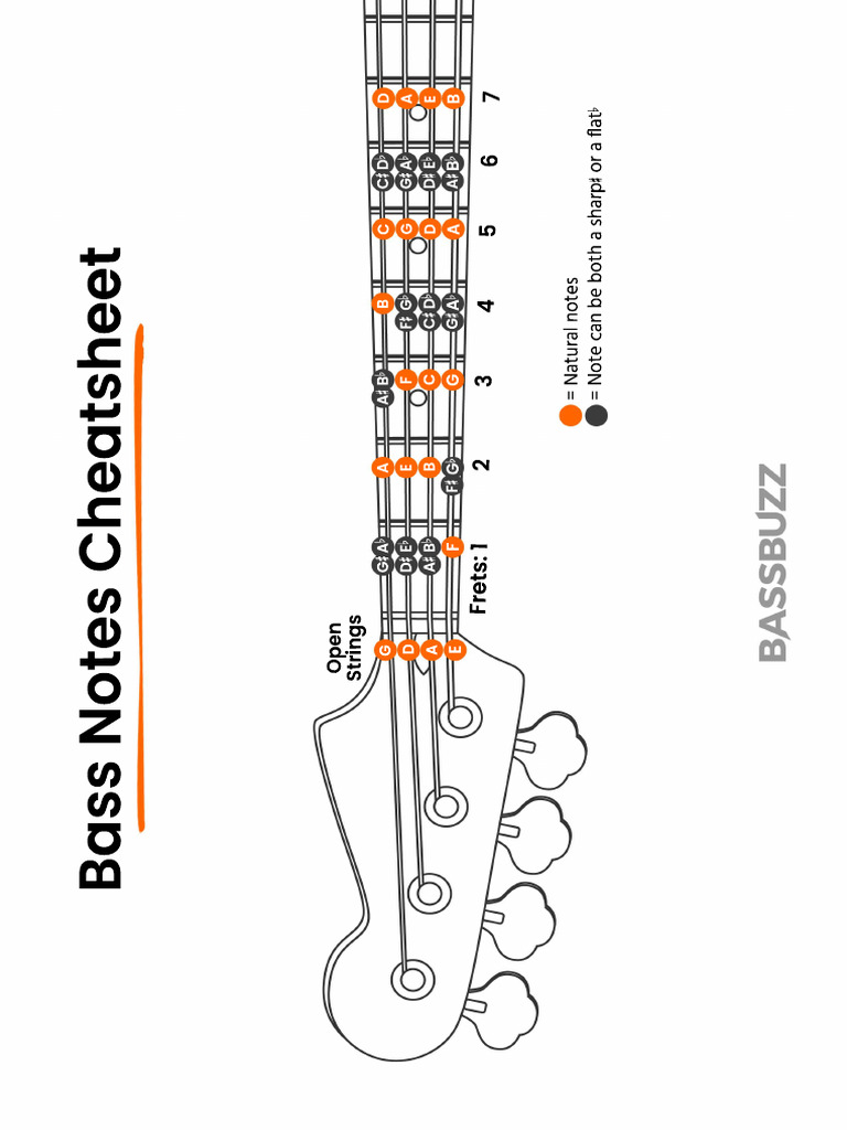 Bass | PDF