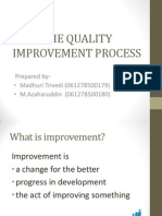 The Quality Improvement Process