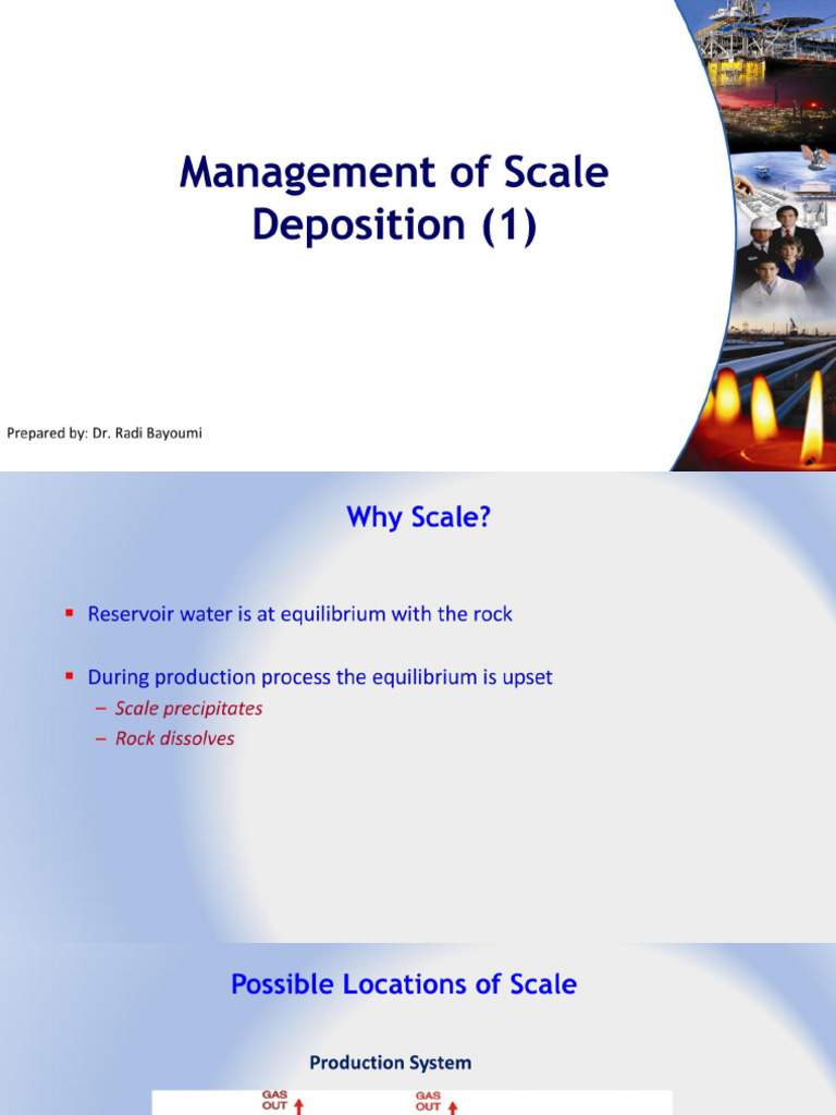 Scale Management 1 1 | PDF