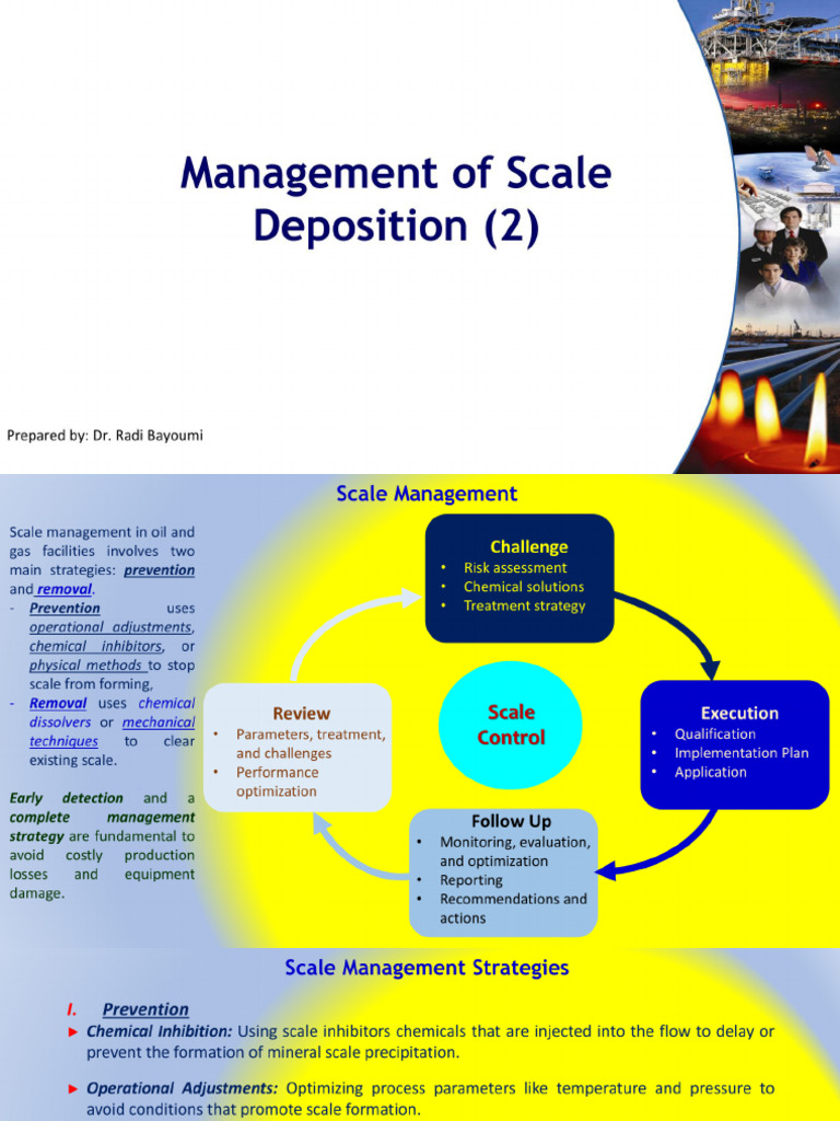 Scale Management 2 1 | PDF