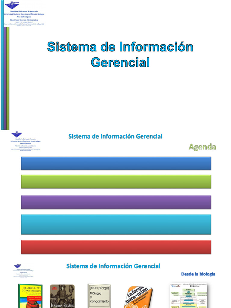 Sistema de Información Gerencial Presentación | PDF