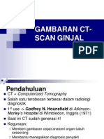 Gambaran CT-Scan Ginjal