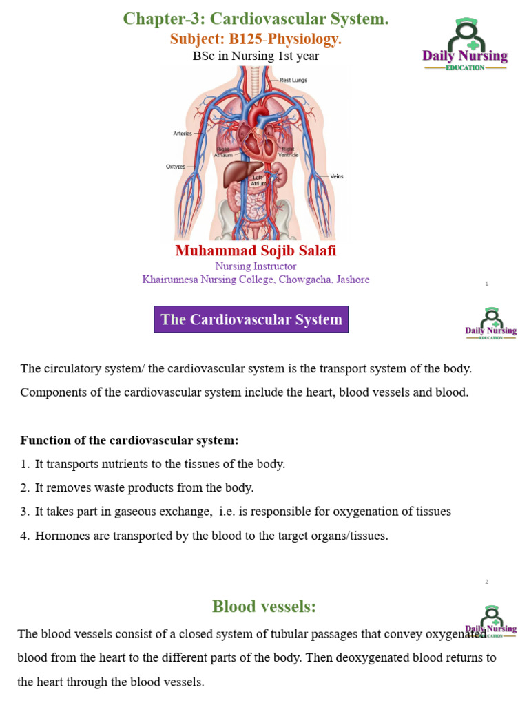 Cardiovascular System | PDF | Circulatory System | Heart