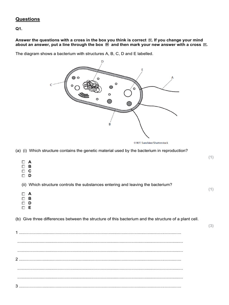 Test Paper for Tuesday 24th | PDF | Cell (Biology) | Virus