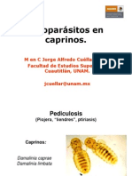 Ectoparásitos en Caprinos