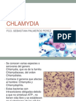 Chlamydia y Chlamydophila