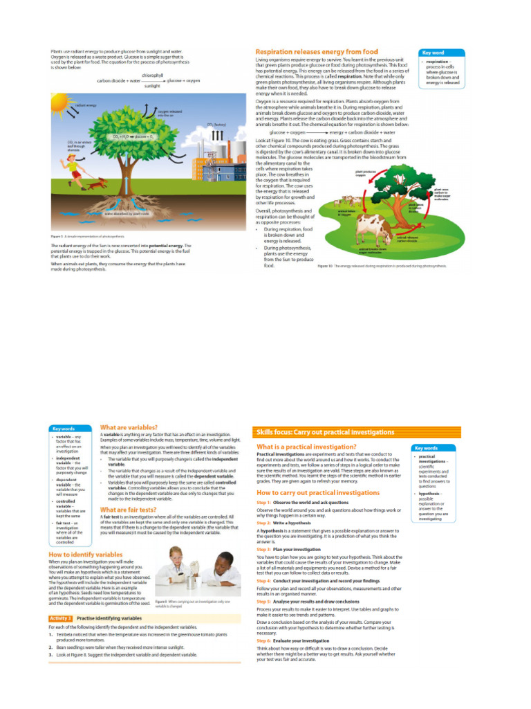 Grade 8 Notes and Practiacal | PDF