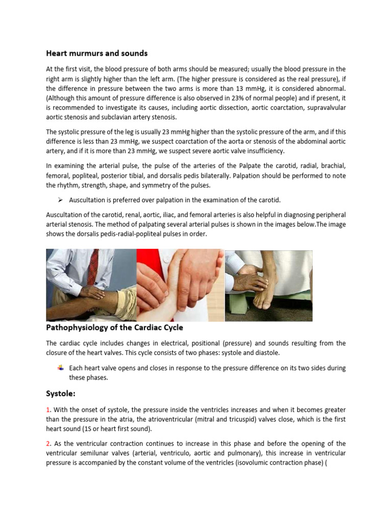 Heart Murmurs and Sounds | PDF | Heart Valve | Diastole