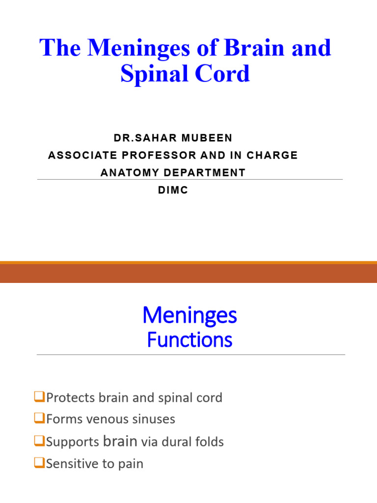 Lecture 2 - Meninges | PDF | Human Anatomy | Central Nervous System