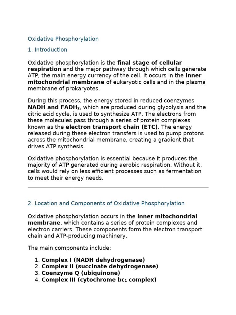 Oxidative phosphorylation | PDF | Electron Transport Chain | Adenosine ...