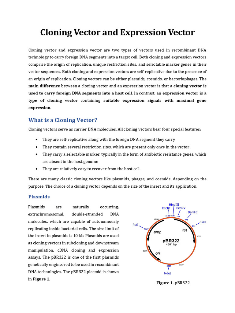 Cloning Vector & Expression Vector | PDF | Vector (Molecular Biology ...