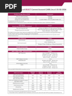 CAADV Current Account Charges 2024 | PDF