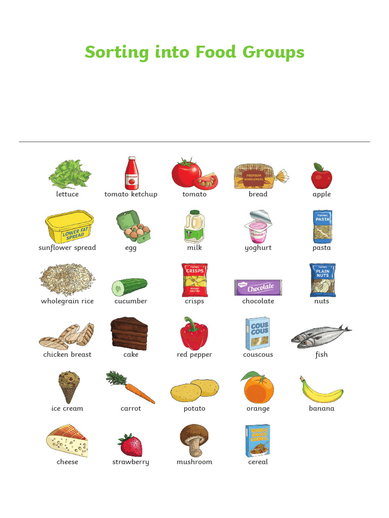 Sorting Into Food Groups | PDF