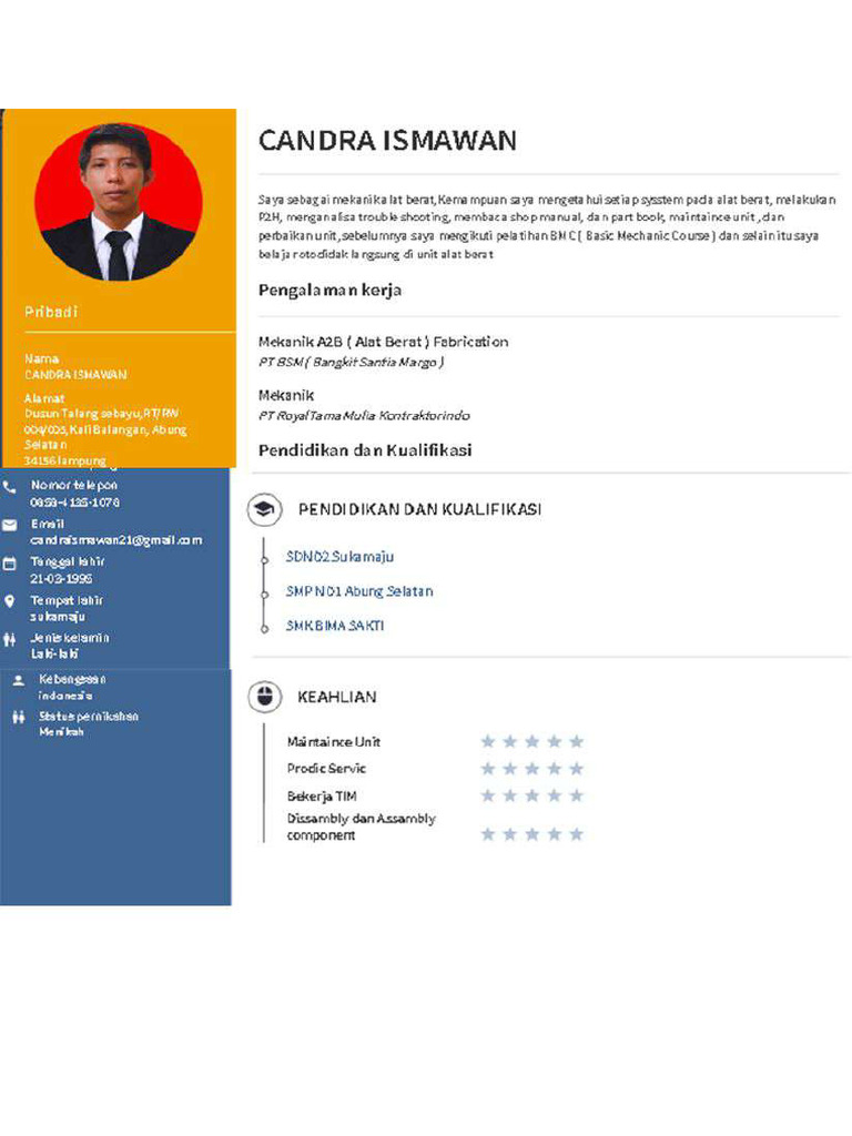 cv candra | PDF