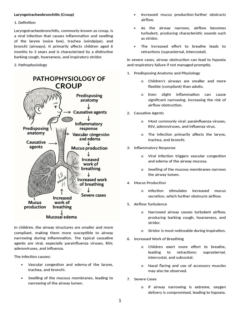 2nd Lecture Laryngotracheobronchitis | PDF | Respiratory Tract | Mucus