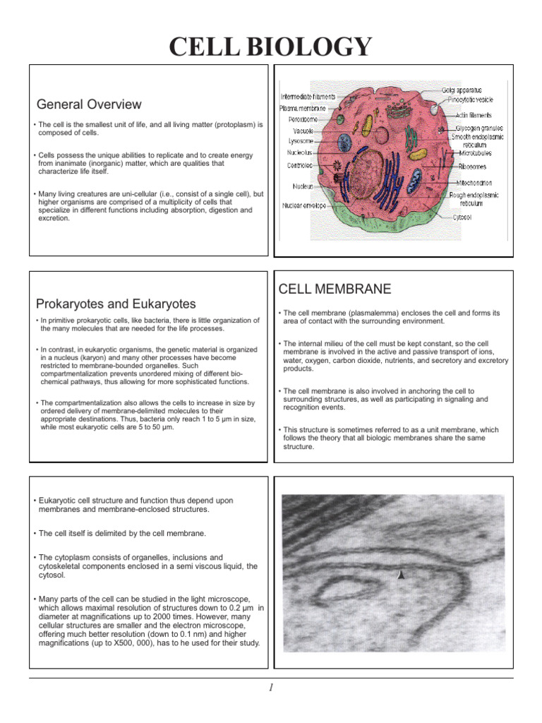 01-1Cell biology | PDF | Endoplasmic Reticulum | Cell (Biology)