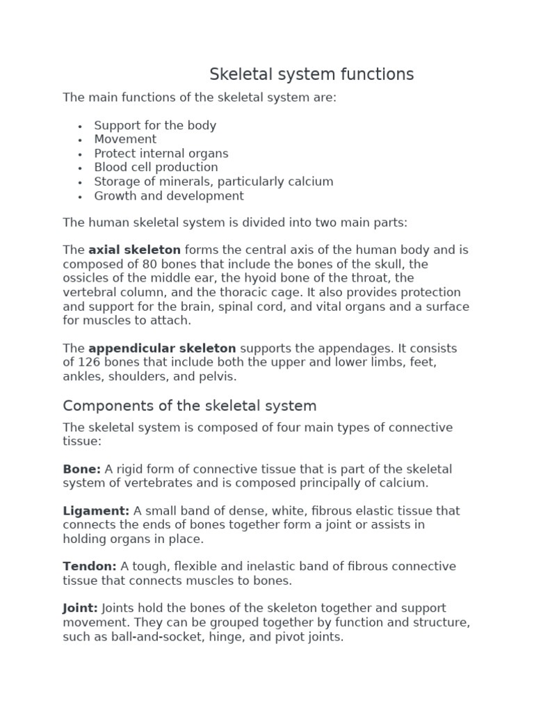 Skeletal System Notes 2 | PDF | Skeleton | Bone