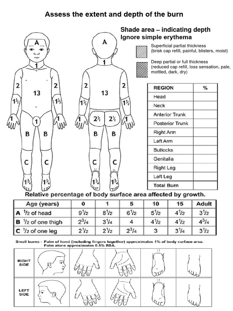 Burns Assessment | PDF