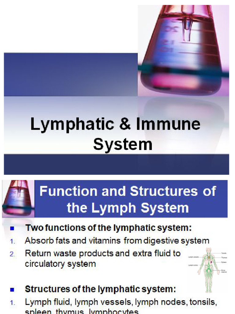 SLIDES_PPT Lymph Immune Use With Lymph Immune Notesheet Waw From Shirl ...