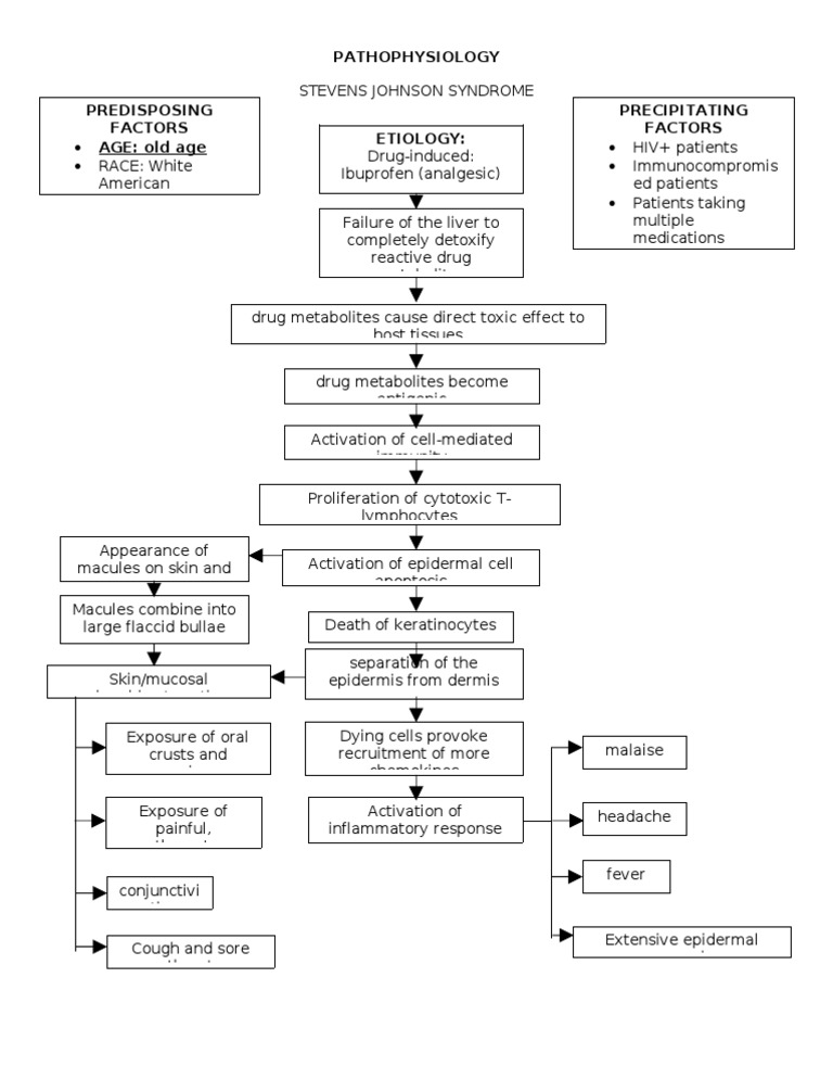 Pathophysiology of Stevens Johnson Syndrome SJS | PDF | Science ...
