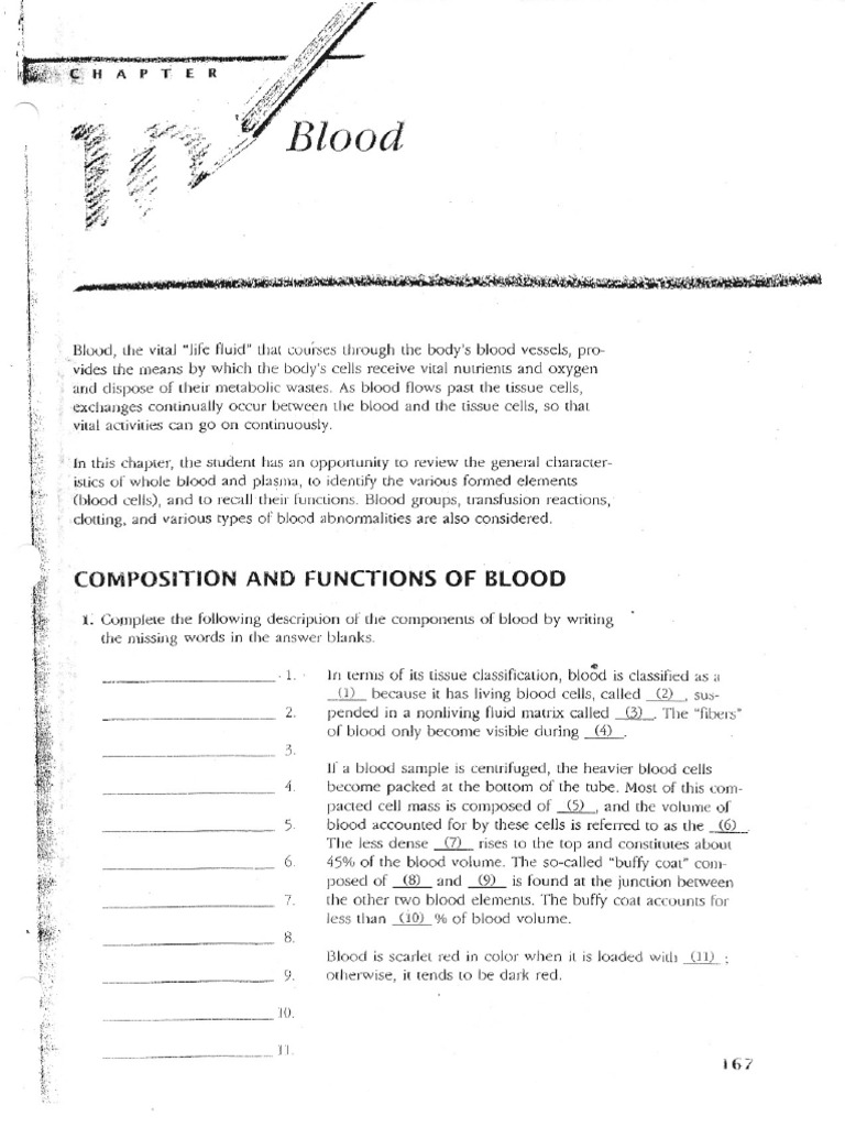 Kami Export - Blood Study Guides | PDF