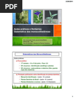 Pratica - Sistematica Monocotiledoneas