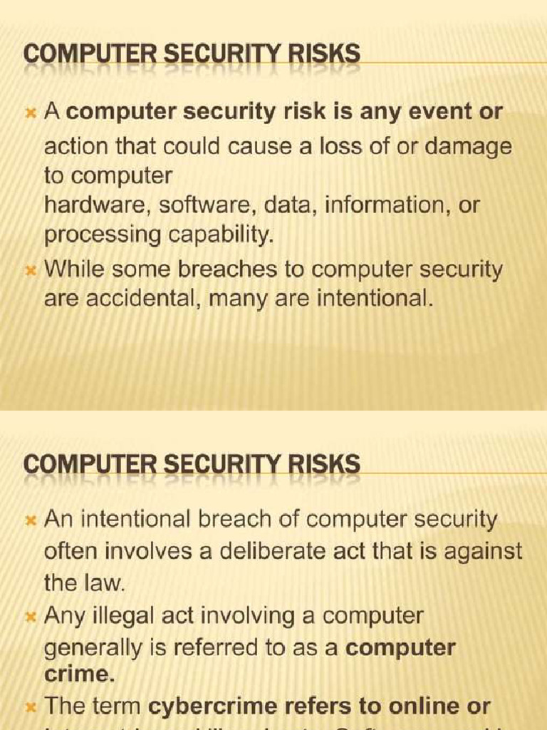 Computer Ethics and Risk(1) | PDF