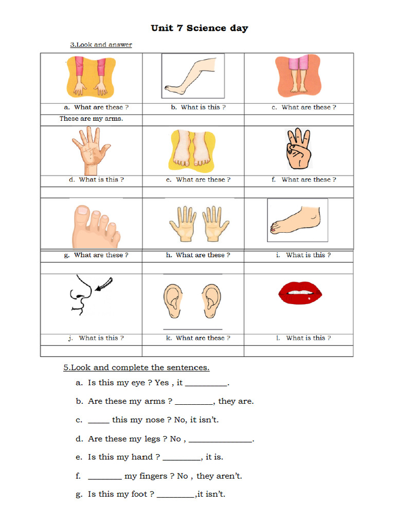 UP1 Unit 7 Review.pdf | PDF